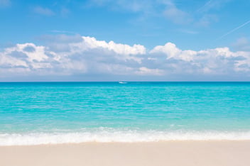 Top Reasons to Choose a Rolling Cash Flow Forecast to Beat the Summer Slowdown